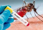 Leitor do Jornal da Região pede para o prefeito de Guaxupé focar mais a Dengue no município