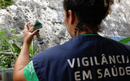Minas Gerais registra redução de 88,6% nos casos de dengue em 2025
