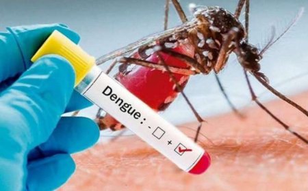 Leitor do Jornal da Região pede para o prefeito de Guaxupé focar mais a Dengue no município