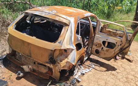 Ossada humana é encontrada próximo a veículo queimado em área de usina em Monte Belo