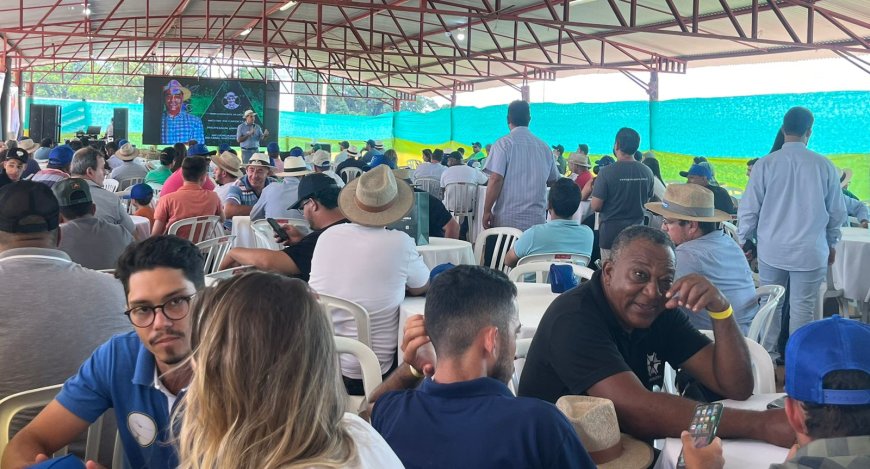 Movimento Coffee Brazil: a revolução da cafeicultura técnica chega em sua segunda edição