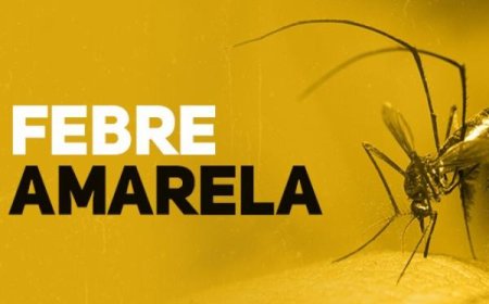 Primeiro caso de febre amarela em humano é confirmado em Poços de Caldas