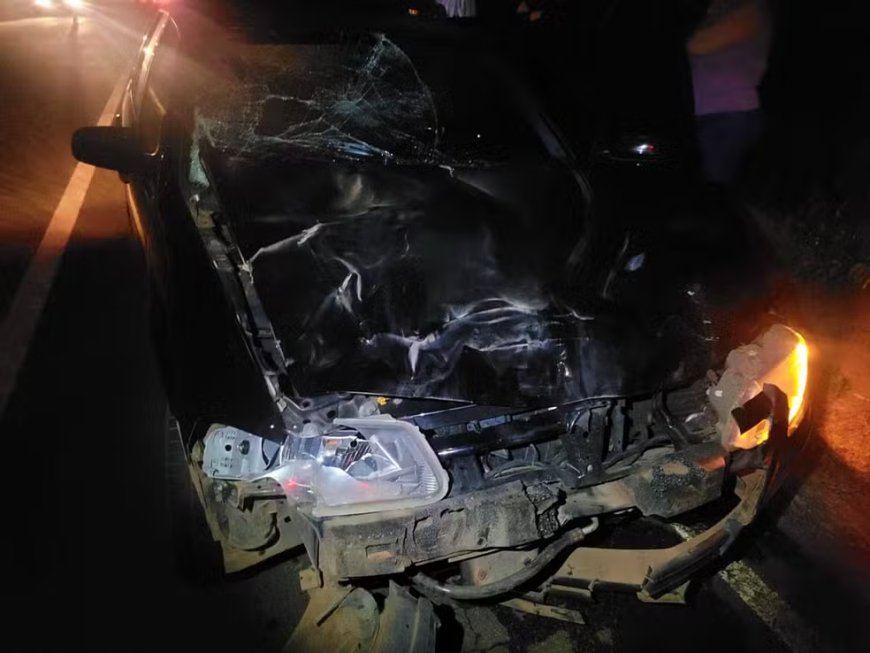 Veículo fica totalmente destruído ao atropelar búfalo na MGC-449, em Arceburgo