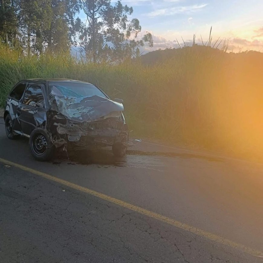 Condutora de Tapiratiba bate veículo em árvore na vicinal entre Mococa e Igaraí