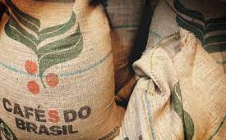 Exportações dos Cafés do Brasil atingem 13,81 milhões de sacas no primeiro quadrimestre de 2025