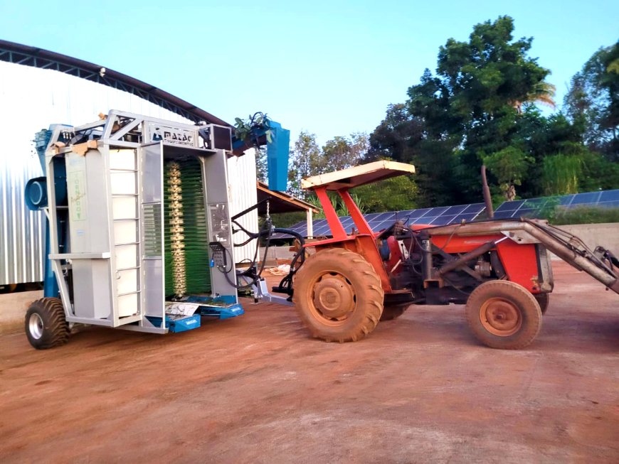 Produtor rural pode financiar novos itens a partir das linhas de crédito do BDMG para a agricultura regenerativa
