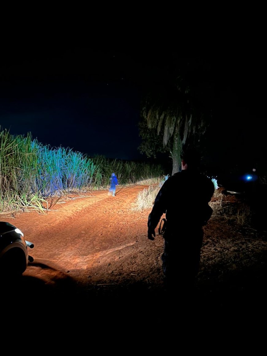 Polícia Civil recupera mais de R$1 milhão em sacas de café e equipamentos furtados no Sul de Minas