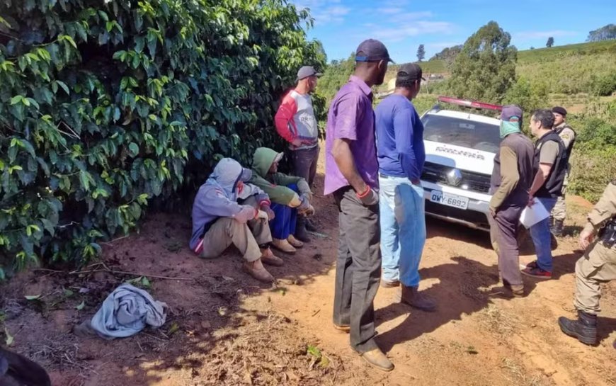 Criança de apenas 12 anos é resgatada de trabalho análogo à escravidão no Sul de Minas