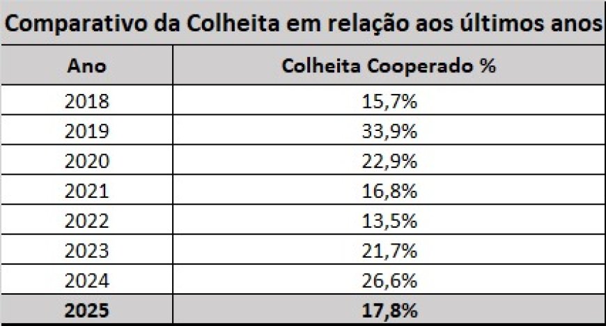 Colheita de café: volume chega a 17,8% na área de ação da Cooxupé