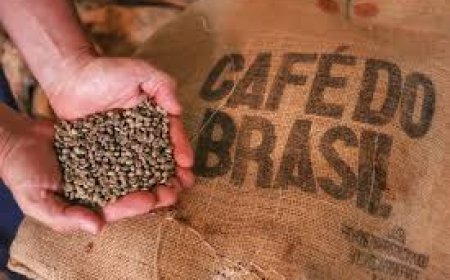 Exportadores descartam ruptura no fornecimento de café aos EUA
