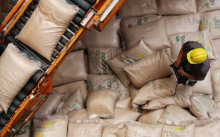 Brasil deixa de embarcar mais de 450 mil sacas de café e acumula prejuízo de R$ 1 bi