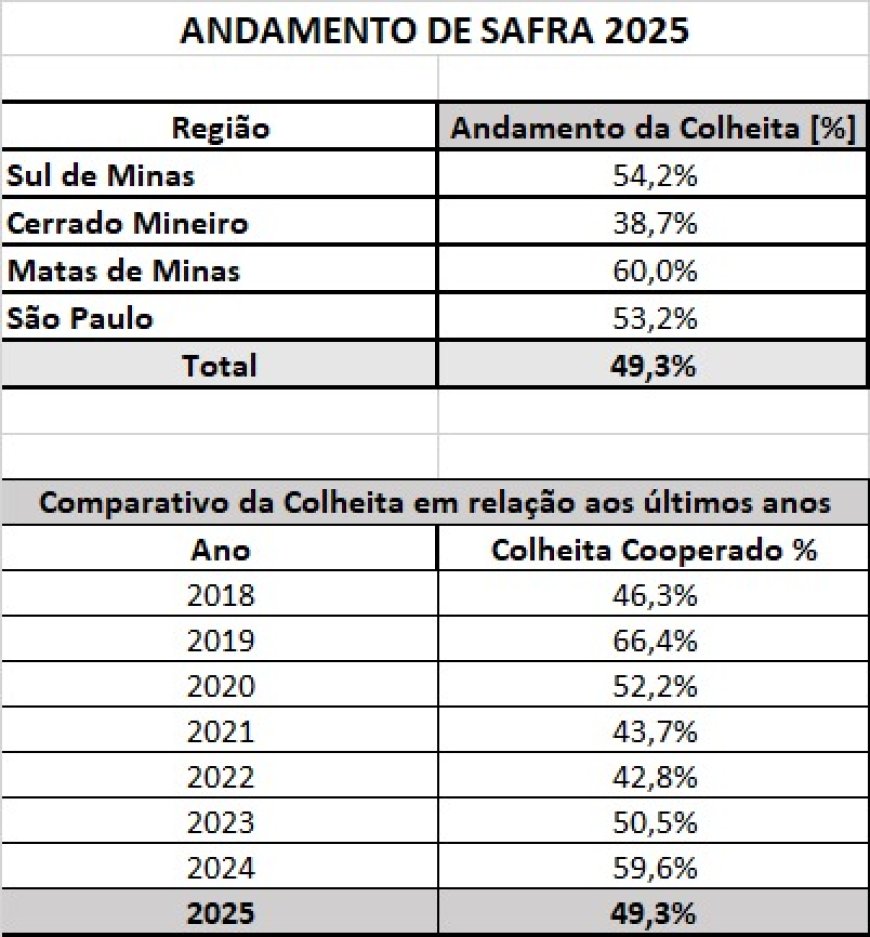 Colheita de café avança para 49,3% na área da Cooxupé