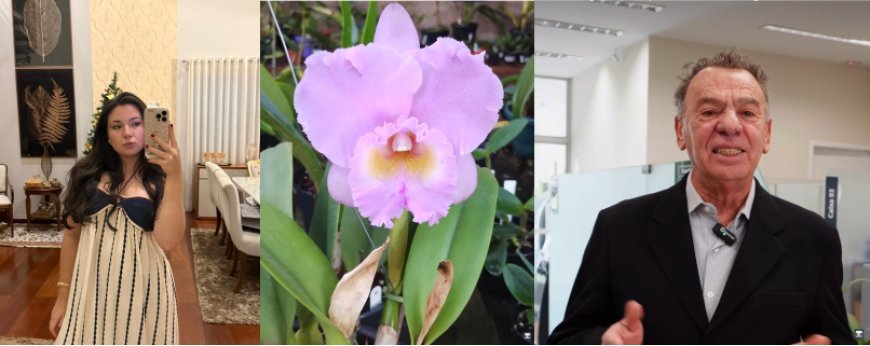 É neste final de semana a Festa Nacional de Orquídeas de Guaxupé