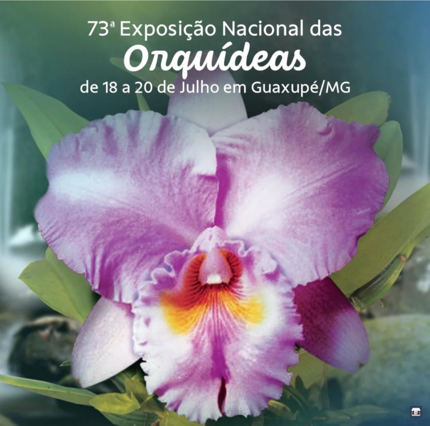É neste final de semana a Festa Nacional de Orquídeas de Guaxupé