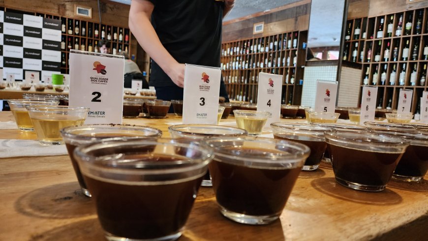 Emater-MG abre inscrições para o maior concurso de cafés especiais de estado