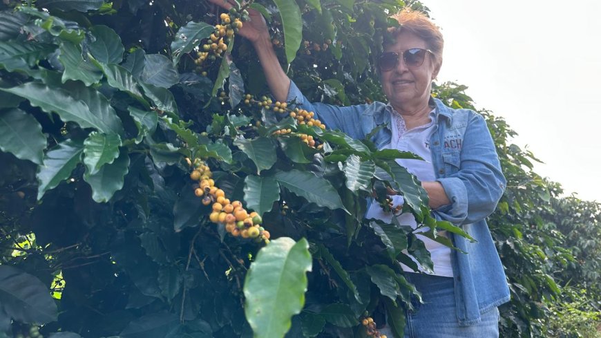 Mulheres no Sul de Minas se destacam na cafeicultura