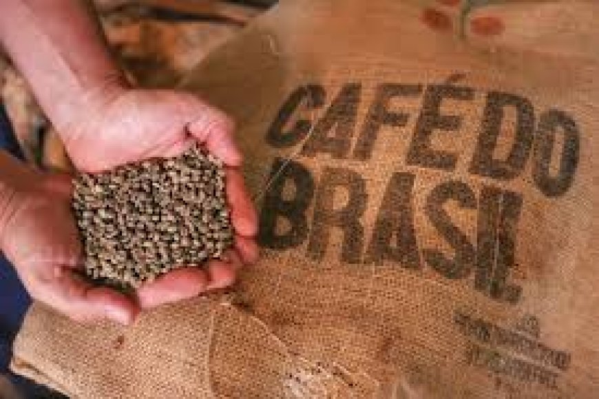 Exportadores descartam ruptura no fornecimento de café aos EUA