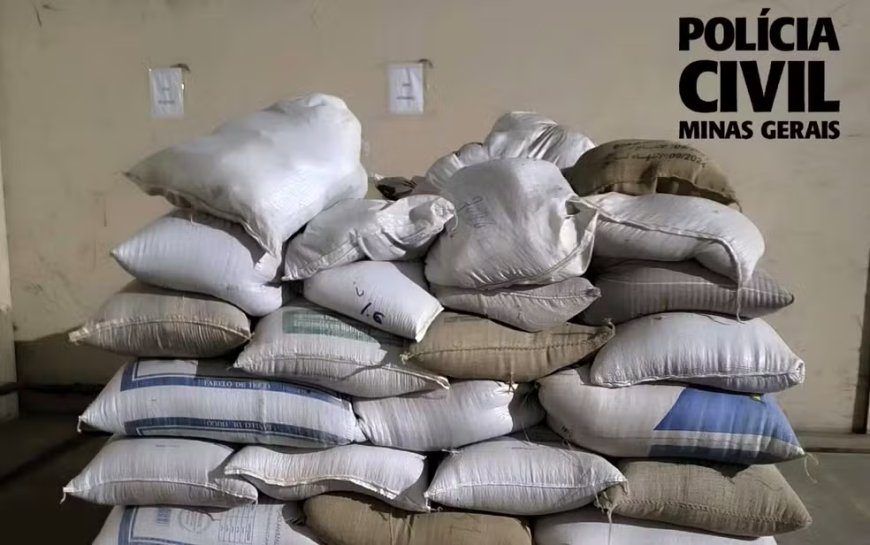 Sacas de café apreendidas no Sul de Minas estão avaliadas em mais de R$ 130 mil