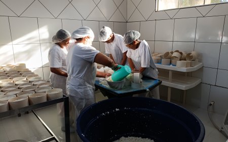 Instituto Mineiro de Agropecuária orienta sobre legalização de alimentos de origem animal