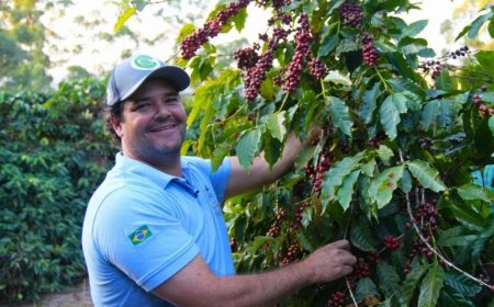 Produtores de Monte Santo e São Sebastião da Grama colhem primeiro café com menor pegada de carbono