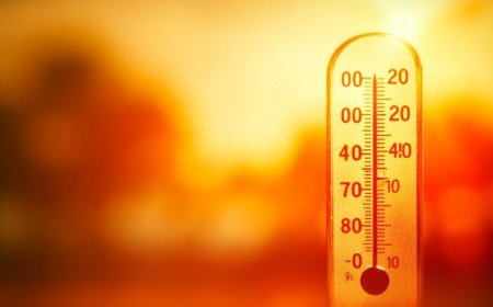 Sexta onda de calor começa na quinta-feira e terá duração de quatro dias, segundo o Climatempo