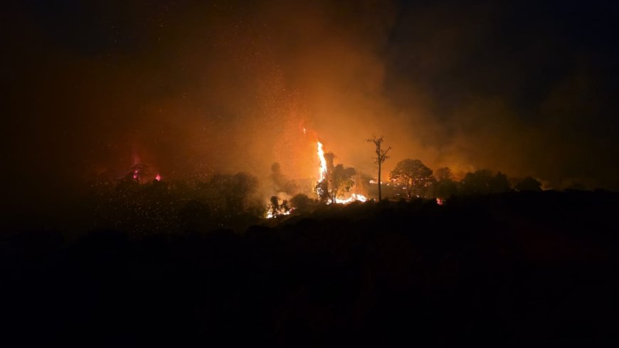 Quase 80 ocorrências de incêndio em vegetação foram atendidas pelos bombeiros no mês de agosto em Guaxupé e região