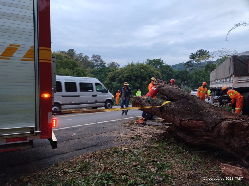 Colisão de carreta gera obstrução do trânsito em trecho da BR-491