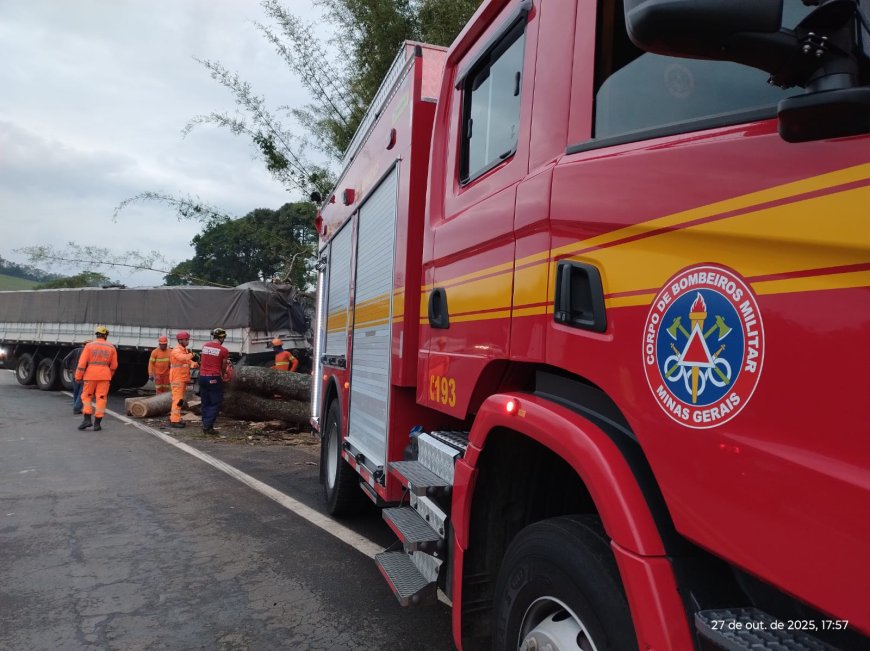 Colisão de carreta gera obstrução do trânsito em trecho da BR-491