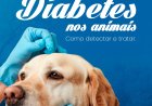 DIABETES MELLITUS CANINA - DMC