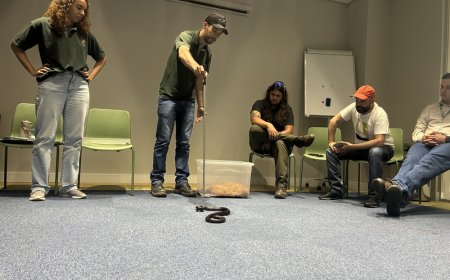 EPR Sul de Minas capacita equipes operacionais para manejo de animais em rodovias