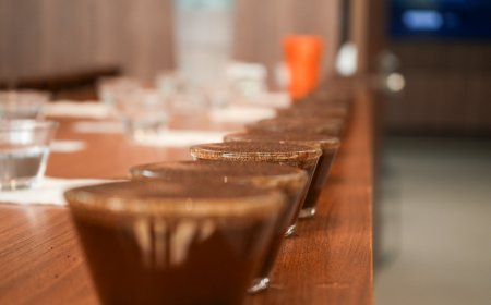 Cooxupé inicia ranking de cafés especiais colhidos na safra 2025