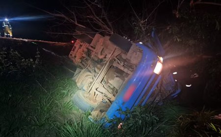 Motorista de 59 anos morre após caminhão tombar e cair em barranco na MGC-491