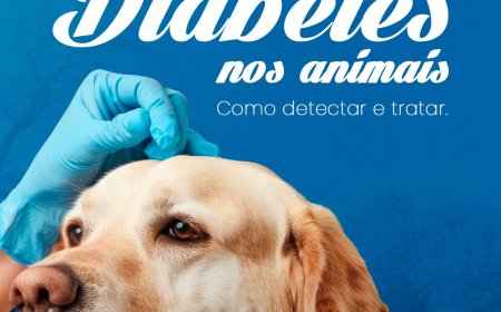 DIABETES MELLITUS CANINA - DMC