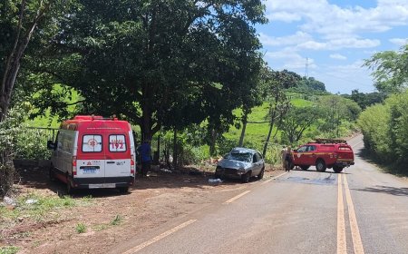 Capotamento na MG-836 deixa duas pessoas feridas entre São Tomás e Paraíso