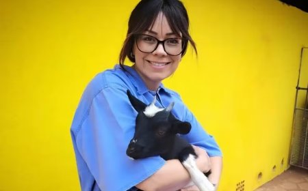 Tristeza: Estudante de veterinária, advogada e ciclista é atropelada e morre na rodovia BR-459