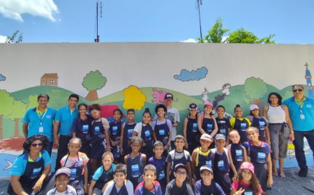 O PRÓ-MANANCIAIS E O PROJETO CHUÁ:  MULTIPLICANDO ÁGUA POR INTERMÉDIO DAS PESSOAS