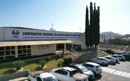Cooxupé vence prêmio nacional como Melhor Cooperativa de Grande Porte em Negócios Internacionais