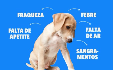 A "Doença do Carrapato" em cães
