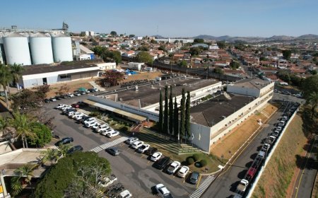 Cooxupé é líder em Minas Gerais no setor de Agricultura, Pecuária e Reflorestamento