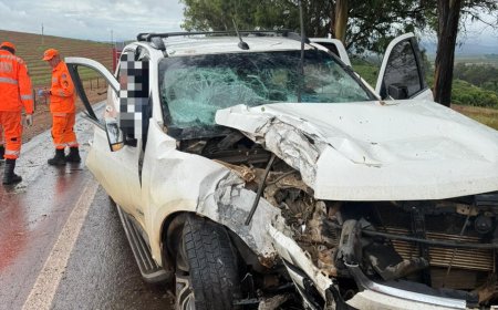 Homens ficam feridos após veículo colidir com árvore na MG-167