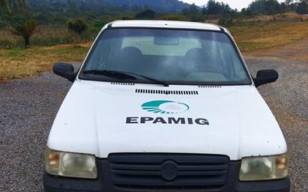 Epamig realiza leilão de bens móveis inservíveis
