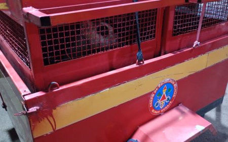 Mãe vai socorrer a filha e sofre ataque de Pit Bull em Paraíso