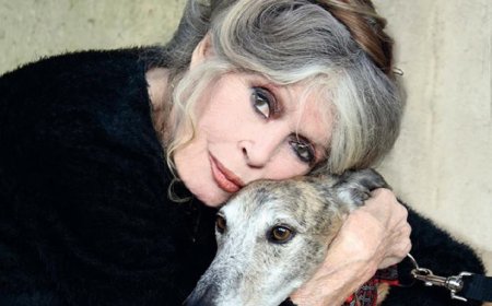 Brigitte Bardot, ícone do cinema mundial e ativista animal, morre aos 91 anos