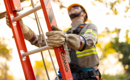 Cemig esclarece cinco conceitos populares sobre energia utilizados incorretamente