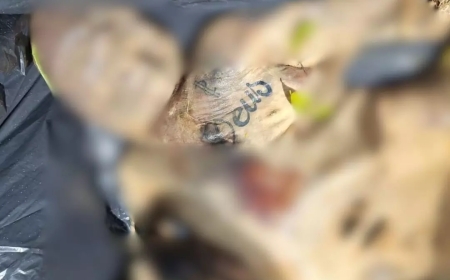 5º corpo é encontrado no mesmo local onde morreram guaxupeanos e guaranesianos em SC