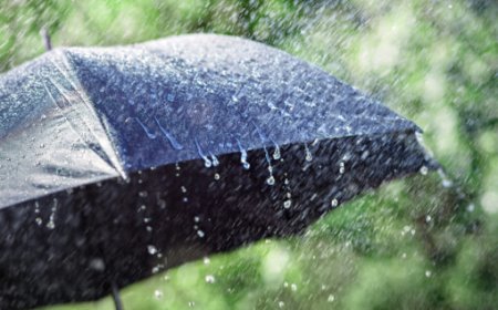 Previsão é de chuva acima da média no Sul de Minas em fevereiro