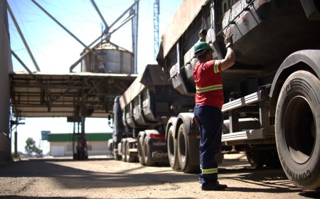 Armazém inadequado pode comprometer toda a safra do produtor rural