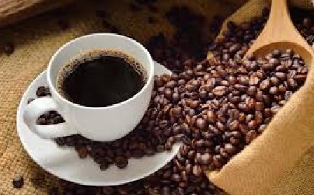 Safra de café no Brasil poderá bater recorde em 2026