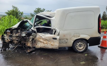 Ao tentar desviar de árvore, condutor bate de frente com outro veículo na MG-050