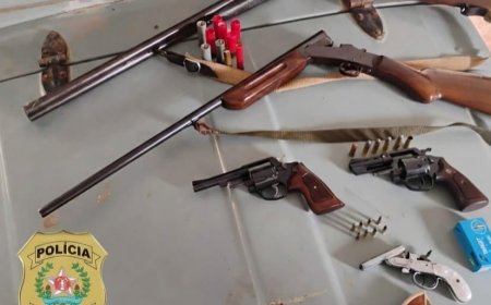 Polícia Civil em Campestre localiza ossada de animal e prende suspeito por posse de arma de fogo